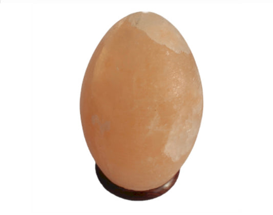 Egg Salt Lamp